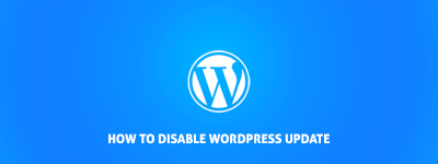 How to Disable WordPress update for Non-Administrators image