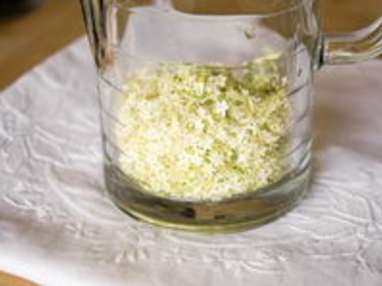 Sirop de fleurs de sureau - Etape 2