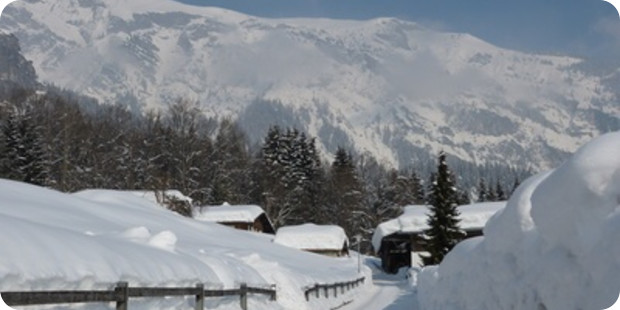 Schneeketten mit Schnellmontage-System – Komfortabel und sicher zugleich? Schneeketten mit Schnellmontage-System – Komfortabel und sicher zugleich?