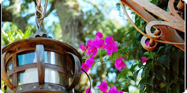 Die ideale Gartenbeleuchtung für jeden Zweck! Die ideale Gartenbeleuchtung für jeden Zweck!
