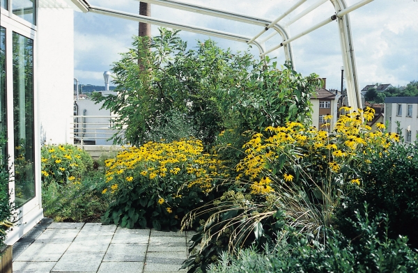Dachterrasse bauen und Wohlfühlort über den Dächern der Stadt schaffen. Dachterrasse-bauen