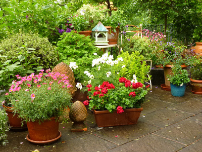 terrassenbepflanzung terrassenpflanzen terrassenbepflanzungen beispiele terrassenbepflanzung terrassenpflanzen terrassenbepflanzungen beispiele