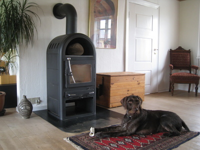 Kaminofen kaufen, preiswert heizen und Wohnraum optisch aufwerten!