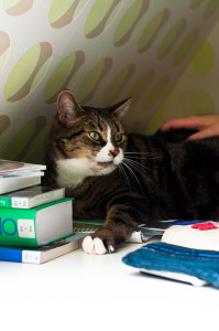Die Computerbesitzer werden immer jünger und brauchen daher auch immer früher einen ordentlichen Kinderschreibtisch.