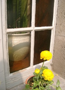Holzfenster-Pflege