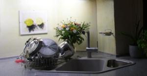 Küchenspüle einpassen: das Allzweckelement optimal in die Küchenzeile