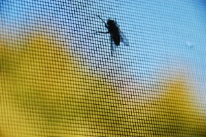 Fliegengitter Dachfenster