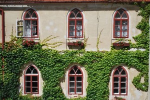 Fenster