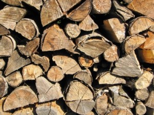Brennholz beim Trocknen