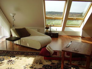 Dachfenster Rollo