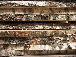 Holzarten © moebelplus by pixelio.de