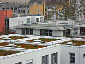 Bevor Ihr Dach zum Problemfall wird, lassen Sie rechtzeitig eine Teilsanierung oder eine umfassende Dachsanierung am Flachdach vornehmen. © Dachdecker.com