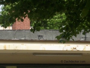 Man sollte sich bereits im Vorfeld einer Dachsanierung Gedanken machen, wie man die alte Dachpappe entsorgen kann. © Dachdecker.com