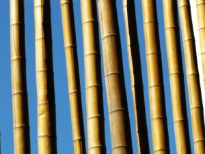 Terrassendielen aus Bambus: Die günstige und robuste Alternative zu