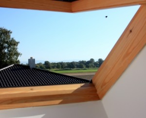 Holzfenster aus Douglasie