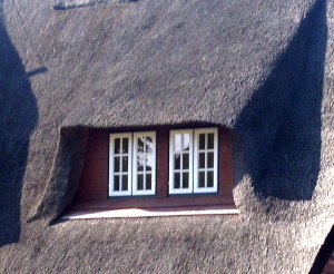 Schimmel an Holzfenstern sollte fachmännisch beseitigt werden. Zur dauerhaften Lösung des Problems ist auch eine gründliche Ursachenforschung notwendig. © Fensterbau.org