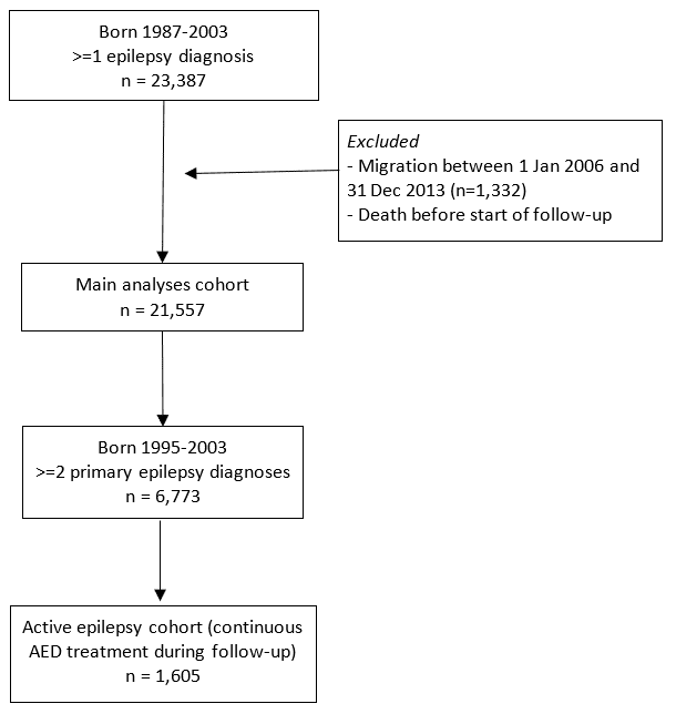 ADHD flow diagram