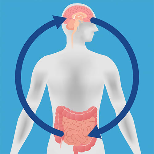 Gut and brain connection