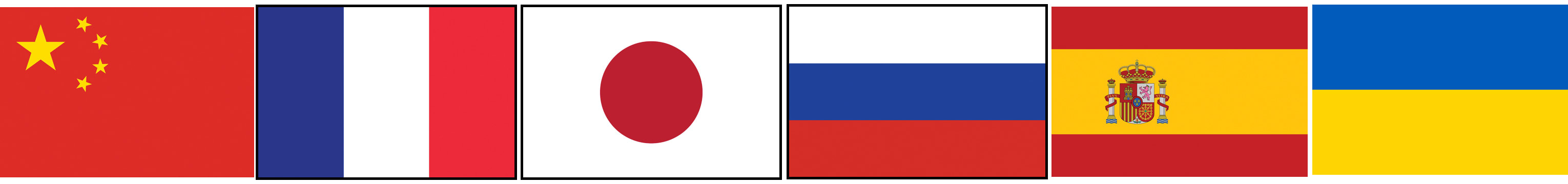 Flags of nations representing languages into which the ILAE COVID-19 clinician survey has been translated