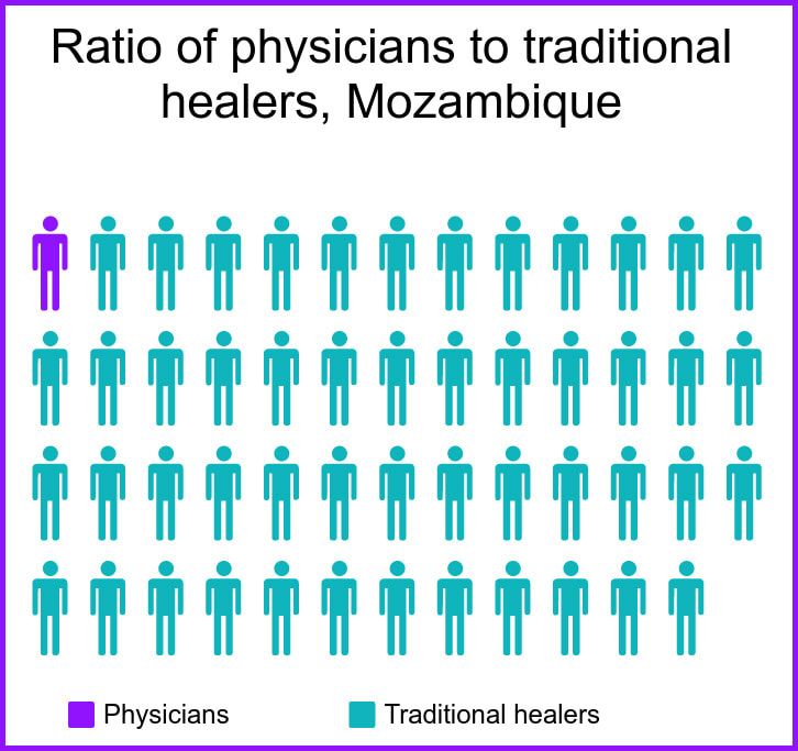Ratio of physicians to traditional healers in Mozambique
