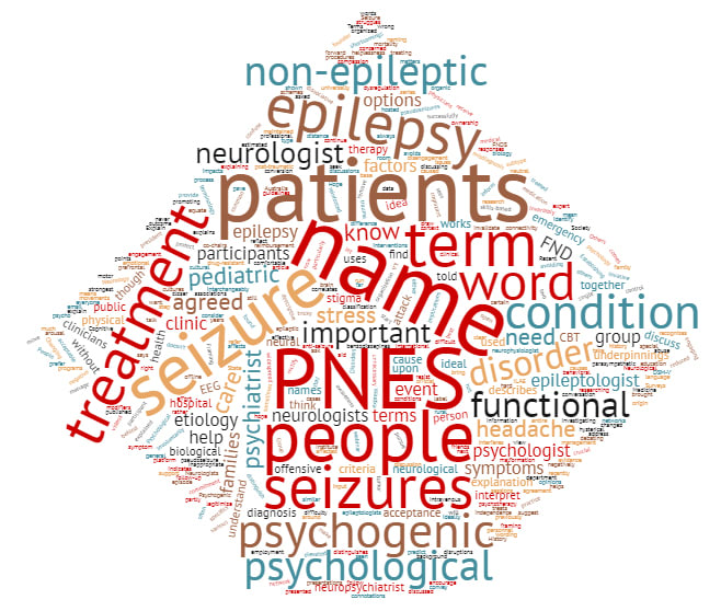 PNES Word cloud