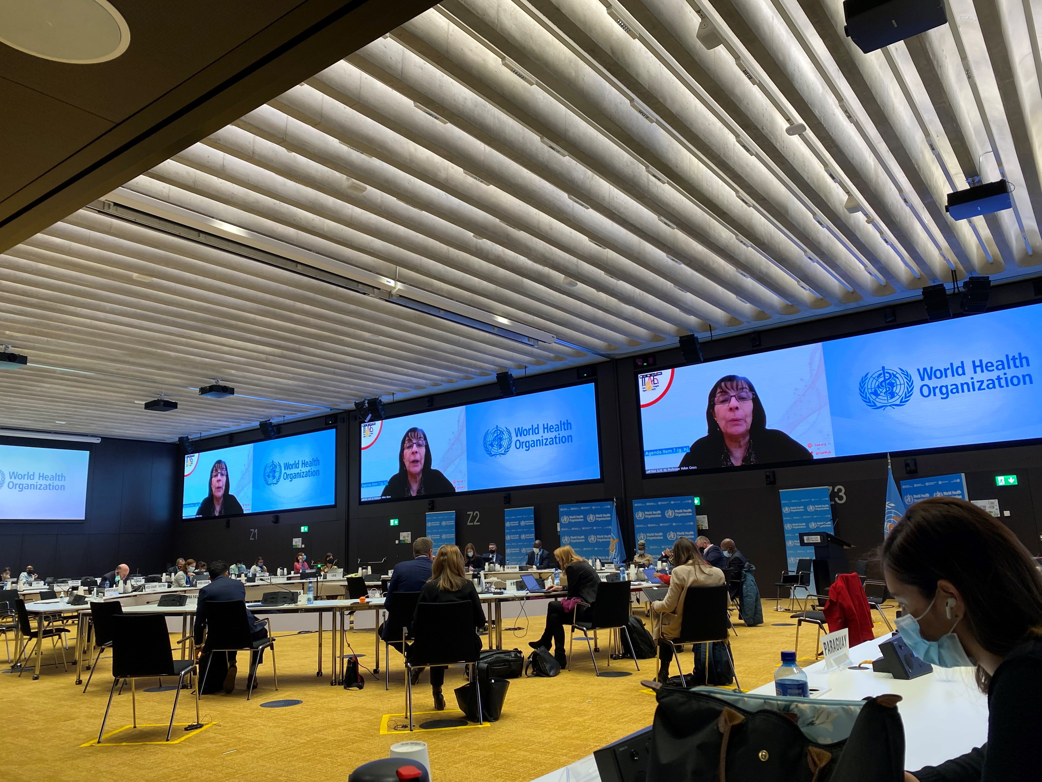 Prof. J. Helen Cross, ILAE president, gives a statement via video call on behalf of ILAE in support of the draft Intersectoral Global Action Plan (IGAP) on Epilepsy and other Neurological Disorders at the 150th session of the World Health Organization Executive Board in Geneva, Switzerland, on 27 January 2022.