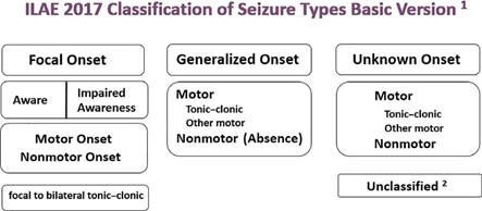 Focal Onset: Aware, Impaired Awareness | Motor Onset, Nonmotor Onset, focal to bilateral tonic-clonis. Generalized Onset: Motor (tonic-clonic, other motor), Nonmotor (absence). Unknown Onset: Motor (tonic-clonic, other motor), unclassified