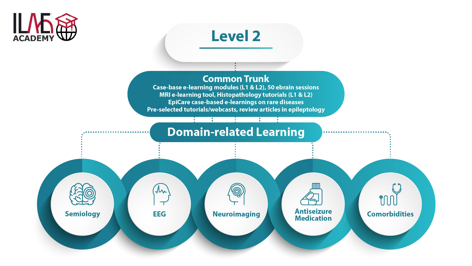 Level 2 Common Trunk: Case-based e-learning modules (L1 & L2), 50 ebrain sessions MRI e-learning tool, Histopathology tutorials (L1 & L2), EpiCare case-based e-learnings on rare diseases, pre-selected tutorials/webcasts, review articles in epileptology. Domain-related Learning: semiology, EEG, neuroimaging, antiseizure medication, comorbidities