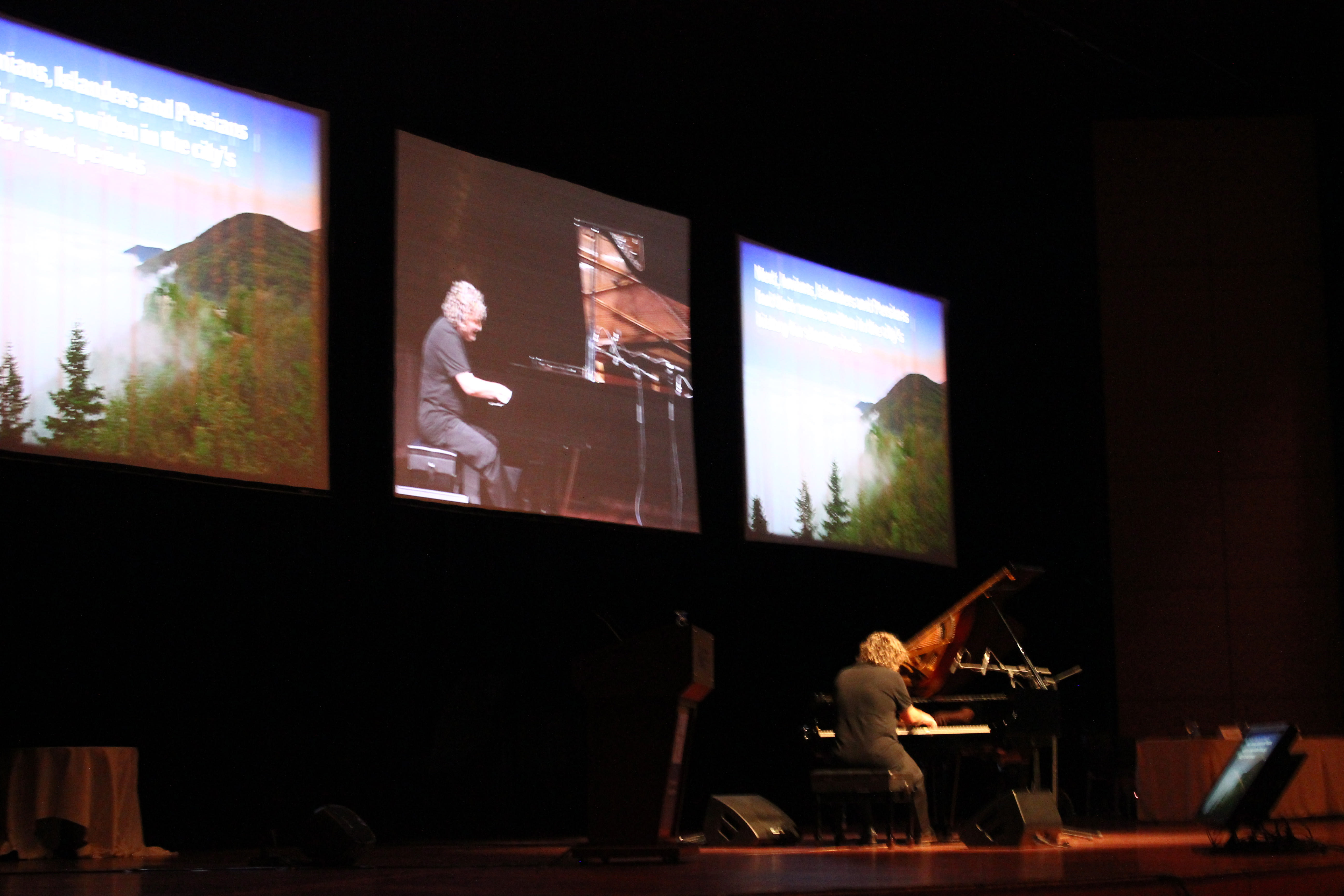 Tuluyhan Uğurlu in concert