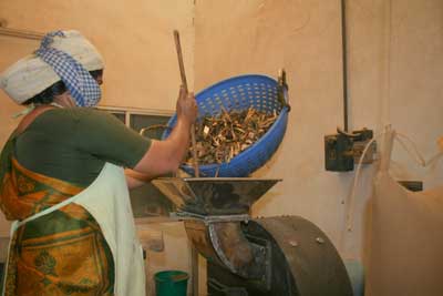 Preparing herbals at a local medicinal company.