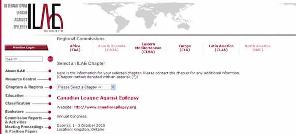 Screen shot of chapter page (old website)
