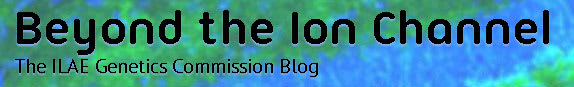 Beyond the Ion Channel