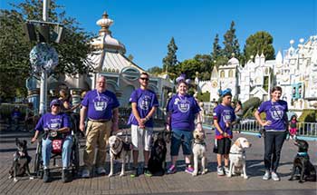 Seizure dogs and their friends