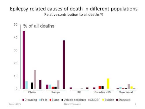 Figure 1. Causes of epilepsy-related deaths in four different countries. The figure emphasizes the issues that need to be addressed to reduce mortalities vary across cultures and resources. Of note, in Sweden, the risks also shift with age, with suicide being a leading cause among younger patients.