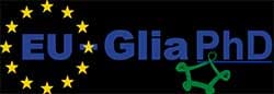 ITN EU-GliaPhD