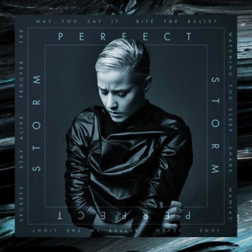 Ecoutez : Perfect Storm (2015)