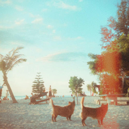 Ecoutez : Summer Crime (2025) Ecoutez : Summer Crime (2025)