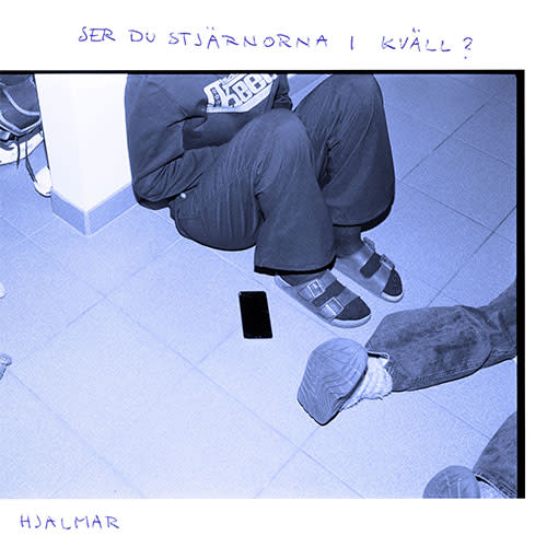 Ecoutez : Ser Du Stjärnorna Ikväll? (2024)