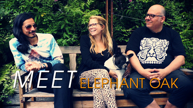 Elephant Oak - Interview Elephant Oak - Interview