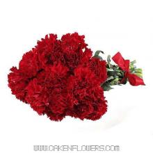 12 Red Carnations Bouquet