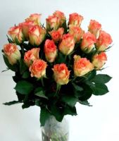 A bouquet of pink roses 50cm
