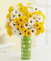 Yellow & White Daisy Bouquet, 12-24 Stems