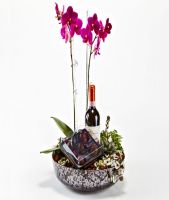 Plant Decoration with wine and delicious chocolate
