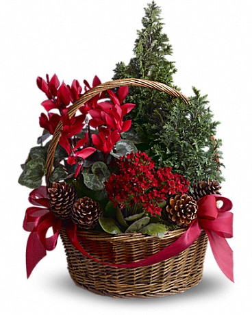 Tannenbaum Basket