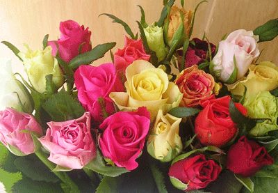 15 mixed roses 60cm bouquet