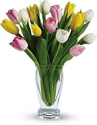 Modelo Bruselas 10 tulipanes