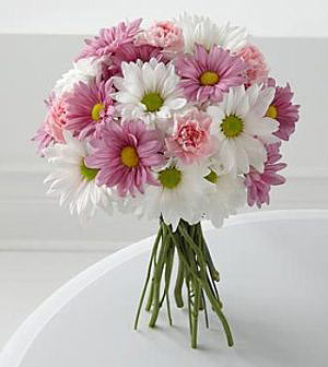 Carnations and Daisies