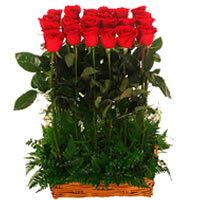 Designed Arrangement of Love 12 Red Roses
