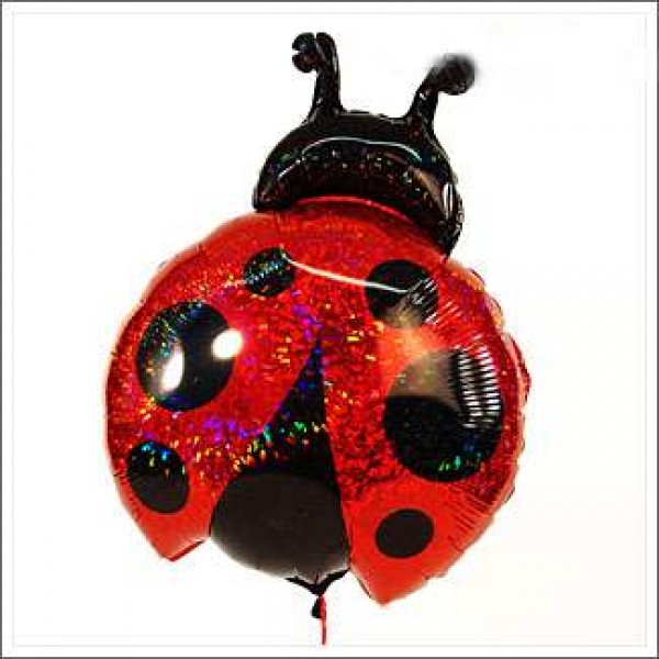 Lucky charm - Ladybird