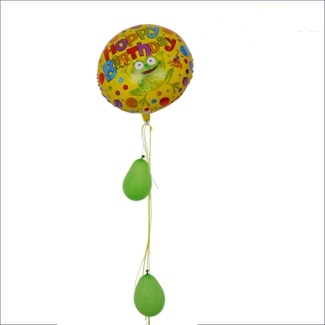 Happy Birthday balloon with Frog and balloon decoration